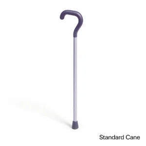 Standard cane